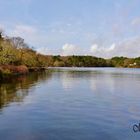 Un autre endroit de l'étang du Ter Ploemeur (Morbihan)