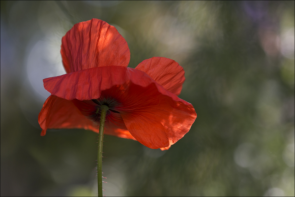 Un autre jour 