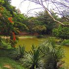 Un autre lac du parc zoologique et forestier de Nouméa