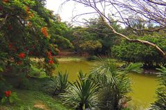 Un autre lac du parc zoologique et forestier de Nouméa