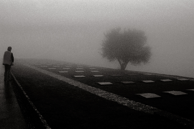 UN ' AUTUNNO DI FOGLIE CADUTE