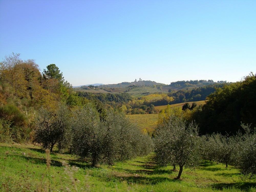 un autunno d'oro