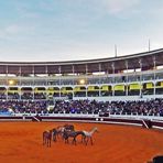 Un avant-goût du spectacle d’arts équestres dans les arènes de Dax