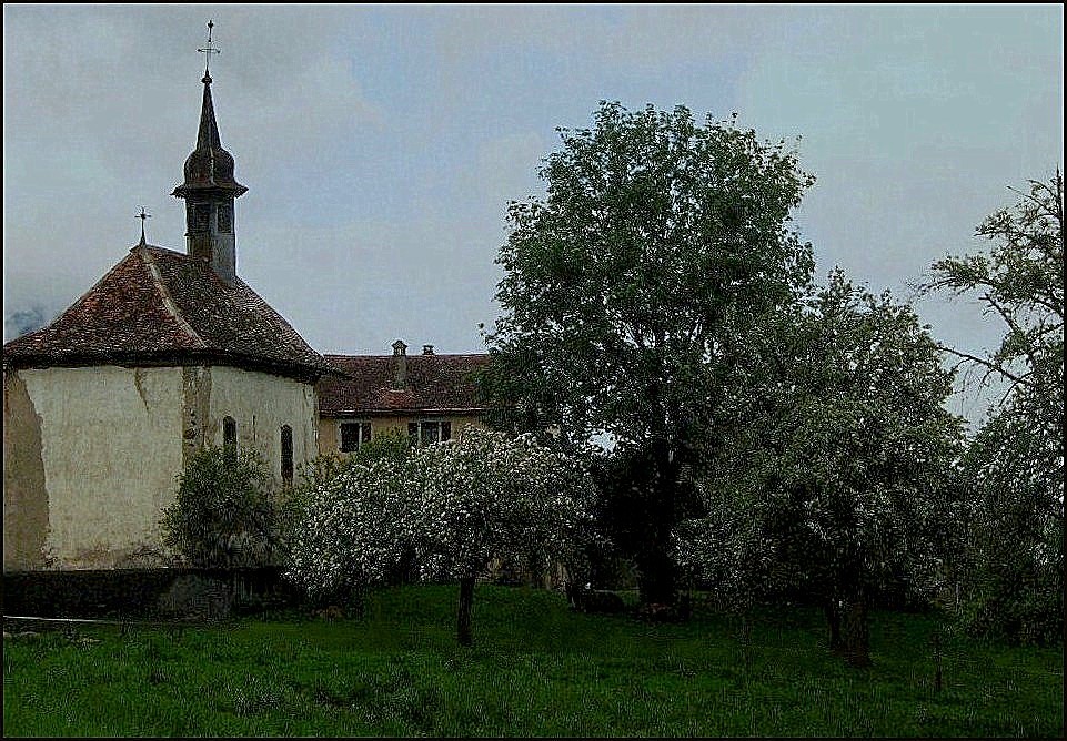 un avant-gout de Printemps !!!