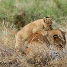 Un bacio alla mamma (Tanzania)