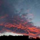 un bacio dal cielo