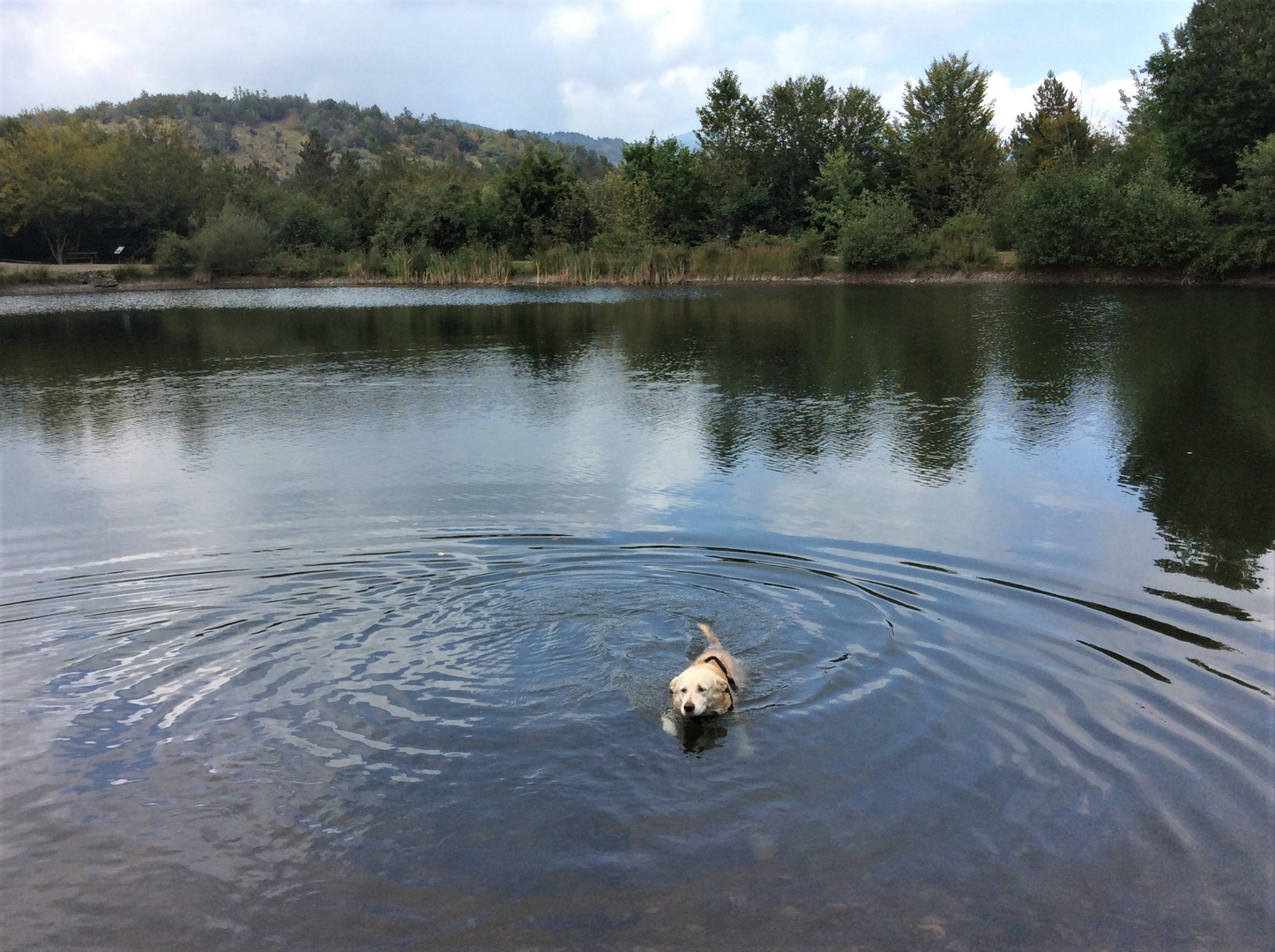 Un bagno al lago