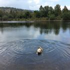 Un bagno al lago