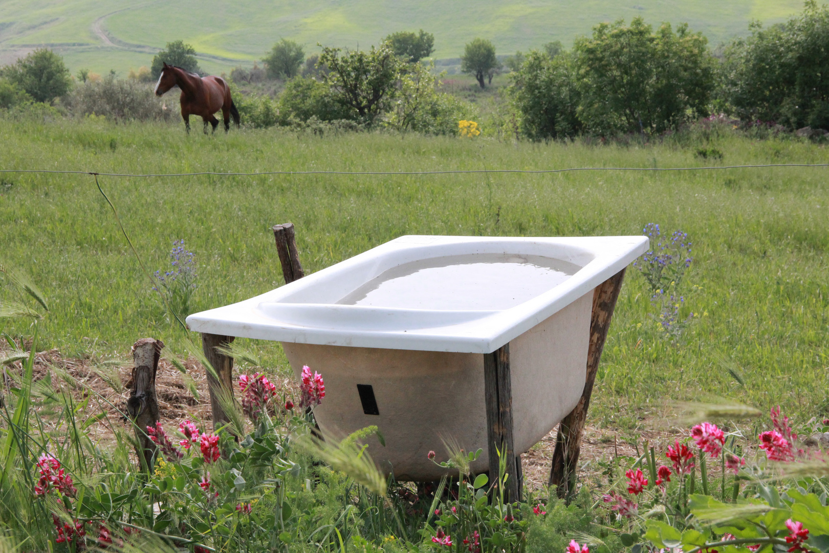 Un bagno da bere