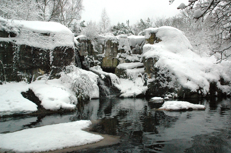 Un bagno di neve