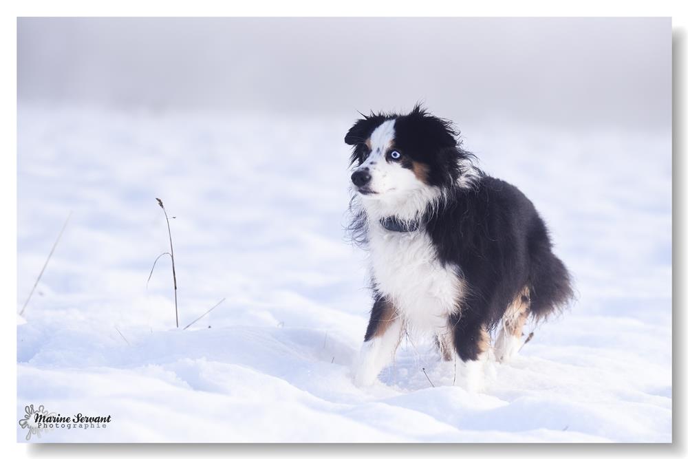 Un bain de neige