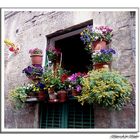 Un balcon en Siena