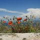 Un balcon sur Marseille