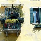 Un balcone di Venezia