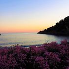 Un balcone fiorito sul mare