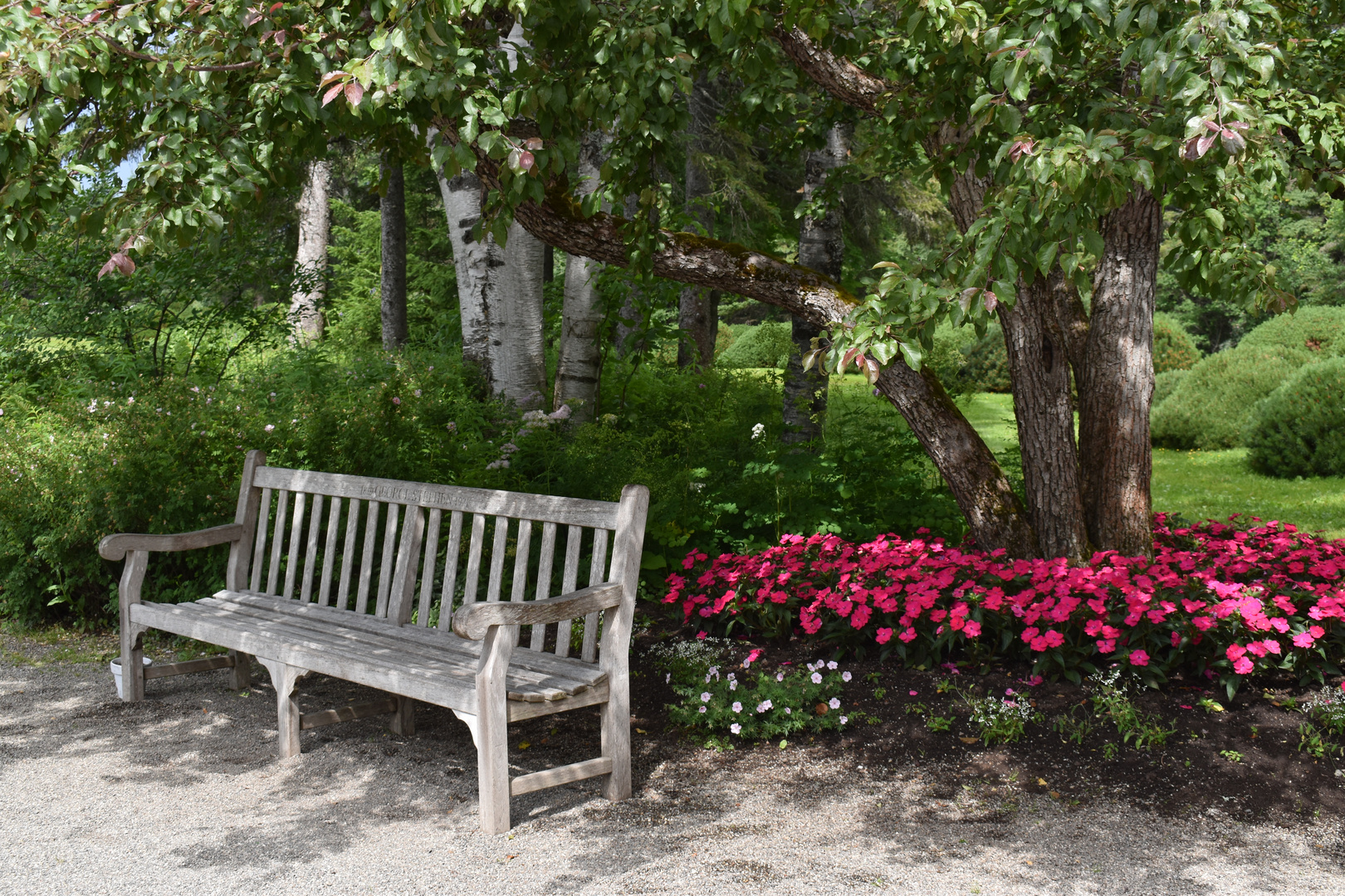 Un banc dans le jardin