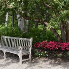 Un banc dans le jardin