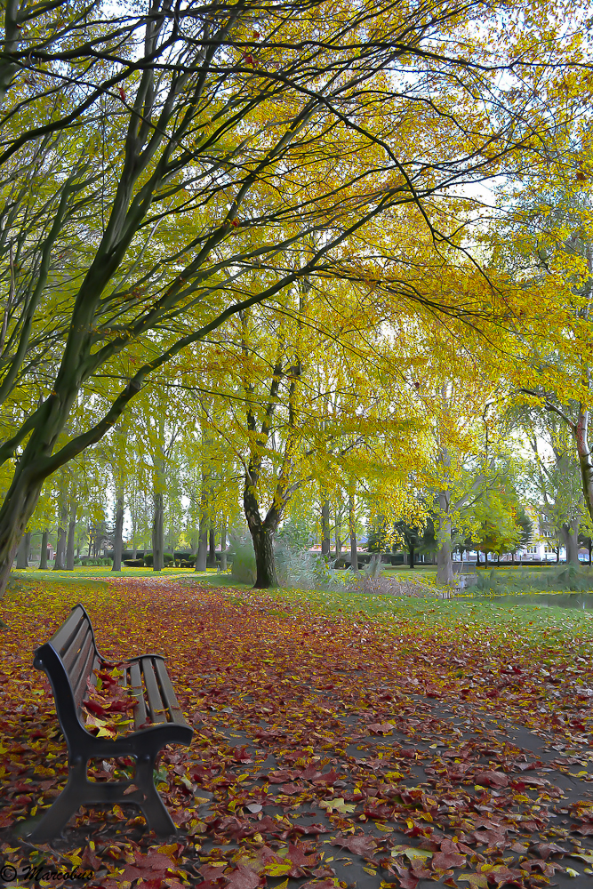 Un banc en automne