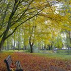 Un banc en automne