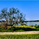 Un banc en Camargue