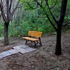 Un banc en forêt