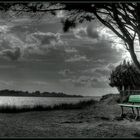 Un banc s'est mis au vert...