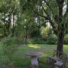 Un banc solitaire sous un arbre