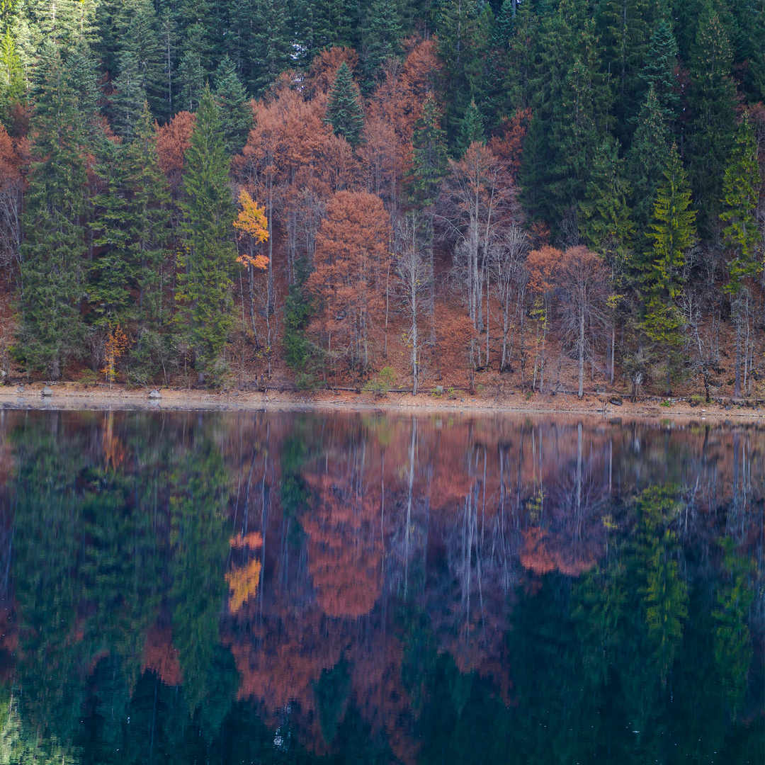 un battito naturale