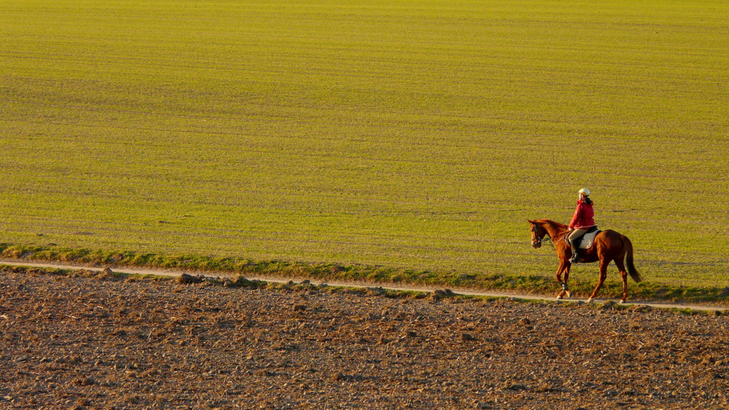 . . "un - be - schreiblich". .