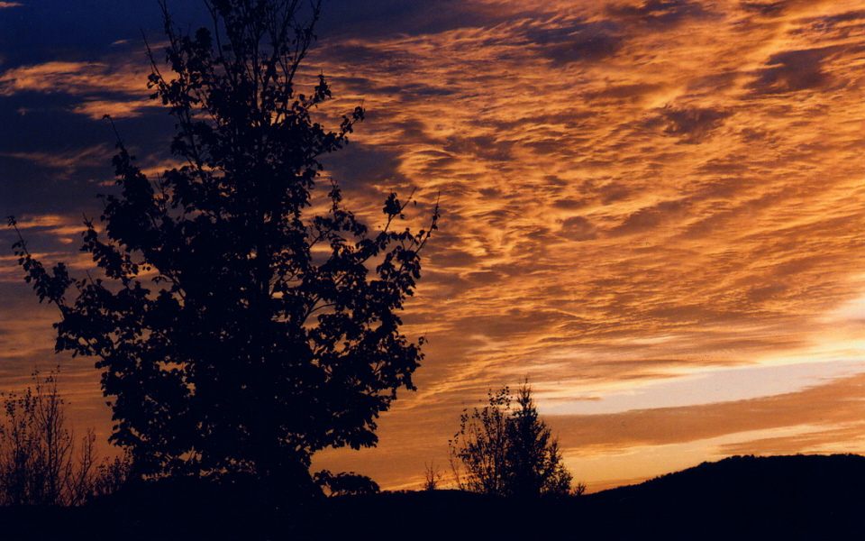 Un beau ciel doré