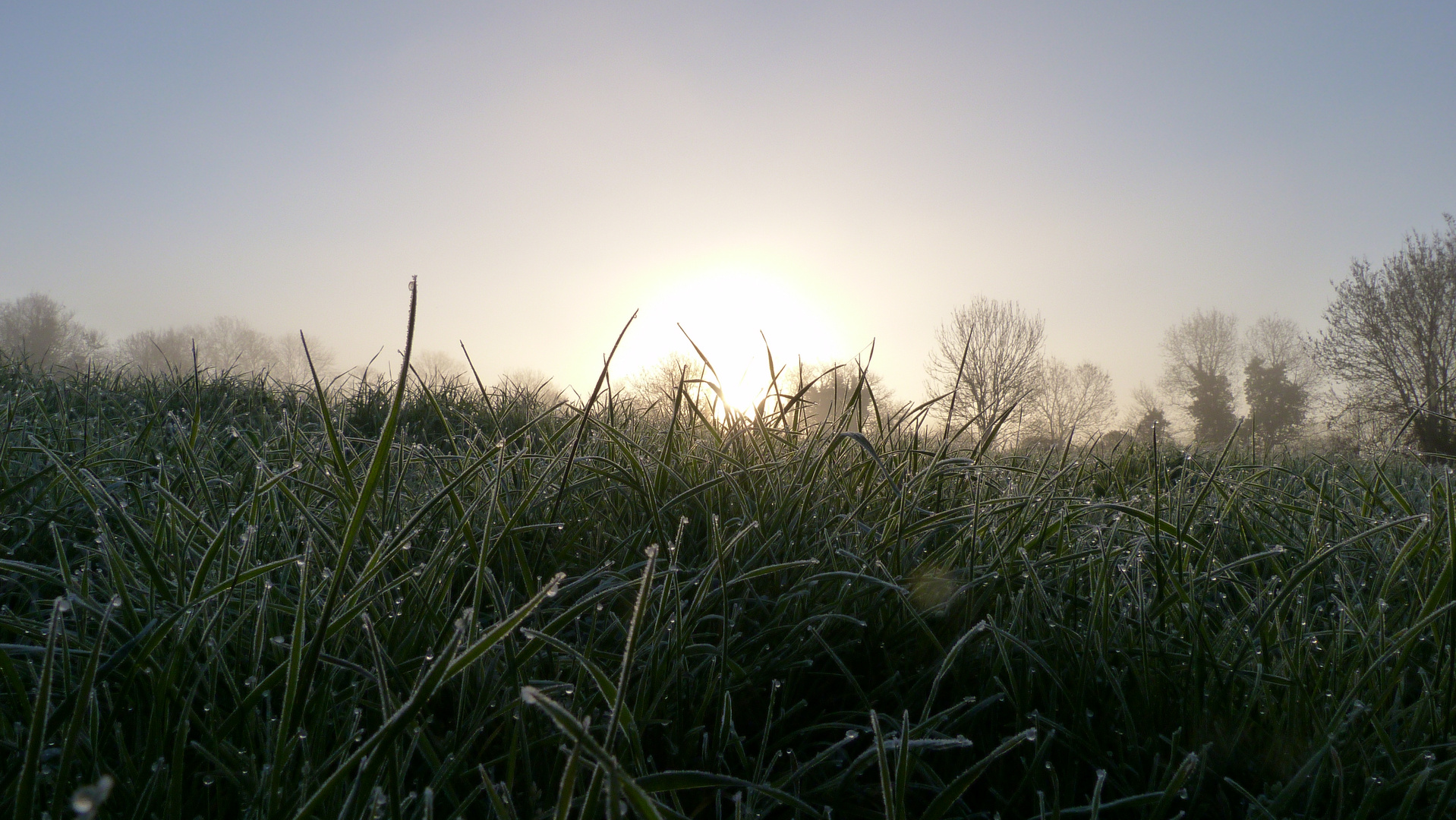 un beau matin