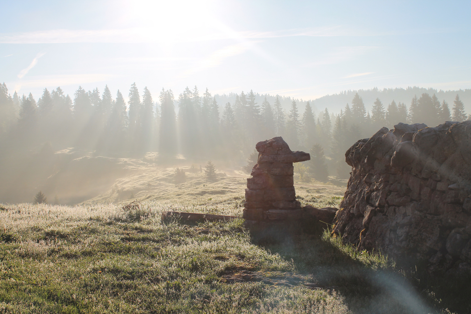 Un beau matin