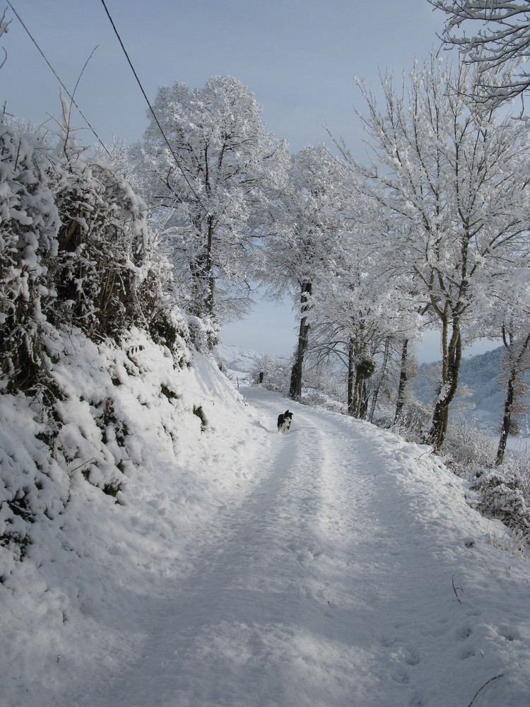 un beau mois de décembre