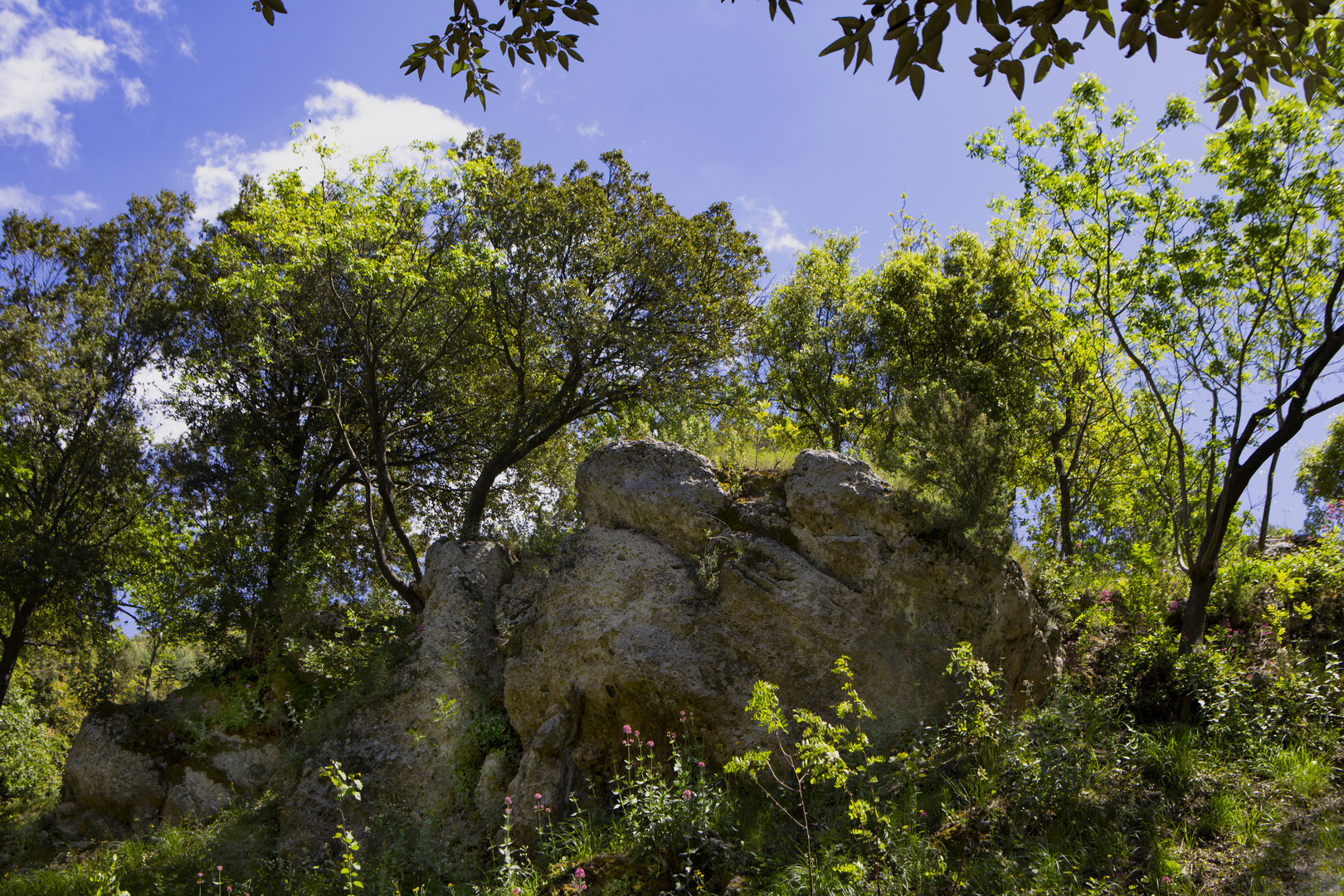 Un beau rocher 