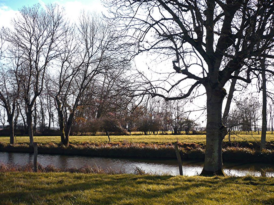 Un beau samedi au bord de l'eau