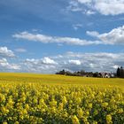 un bel après-midi de printemps dans le Vexin normand