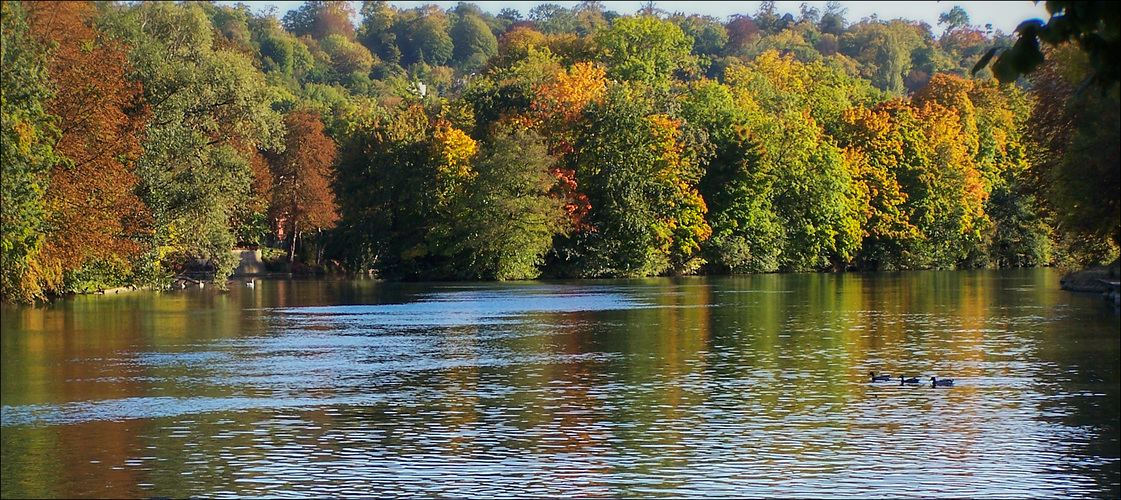 Un bel automne