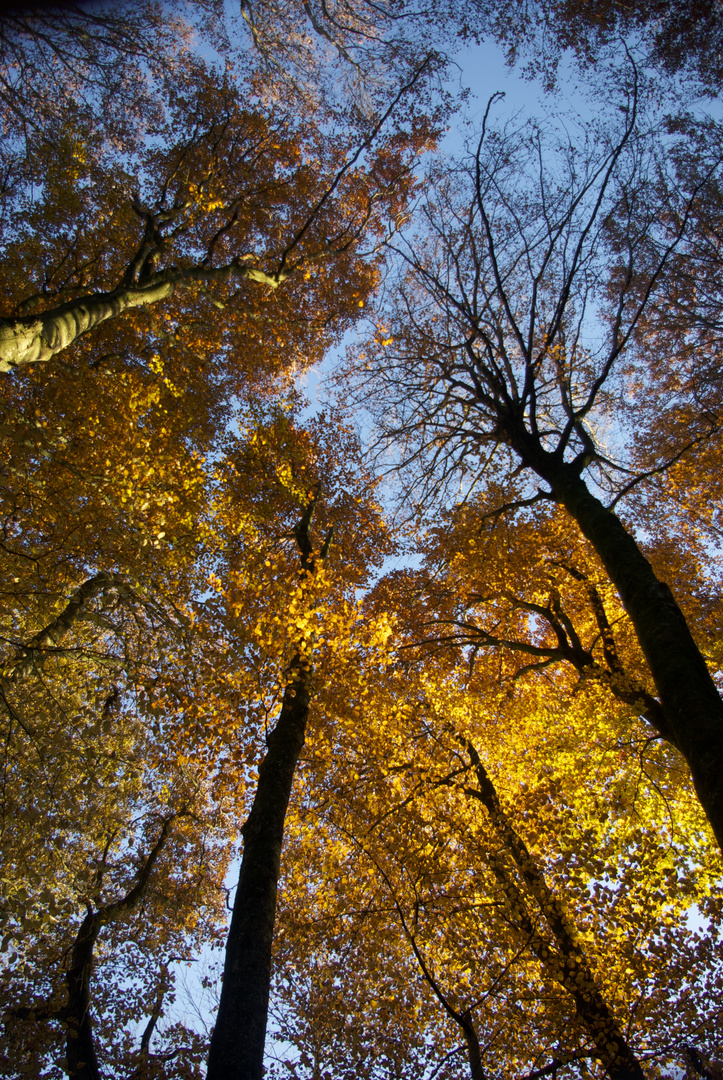 UN BEL AUTOMNE EN BRETAGNE