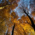 UN BEL AUTOMNE EN BRETAGNE