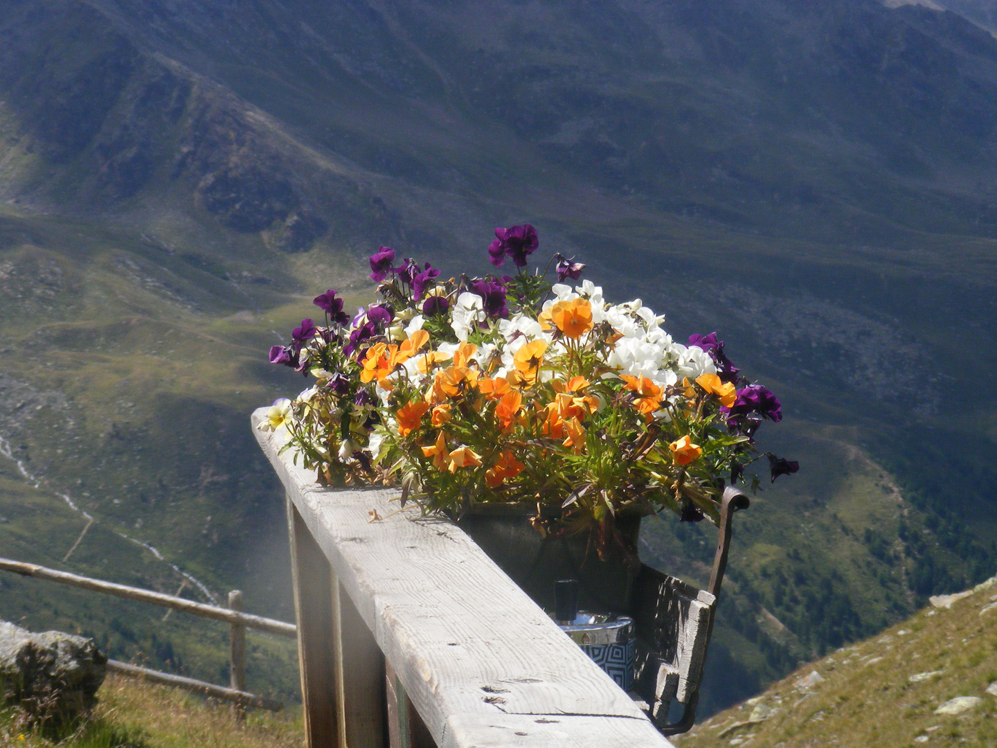 Un bel mazzo di fiori in omaggio ai monti .