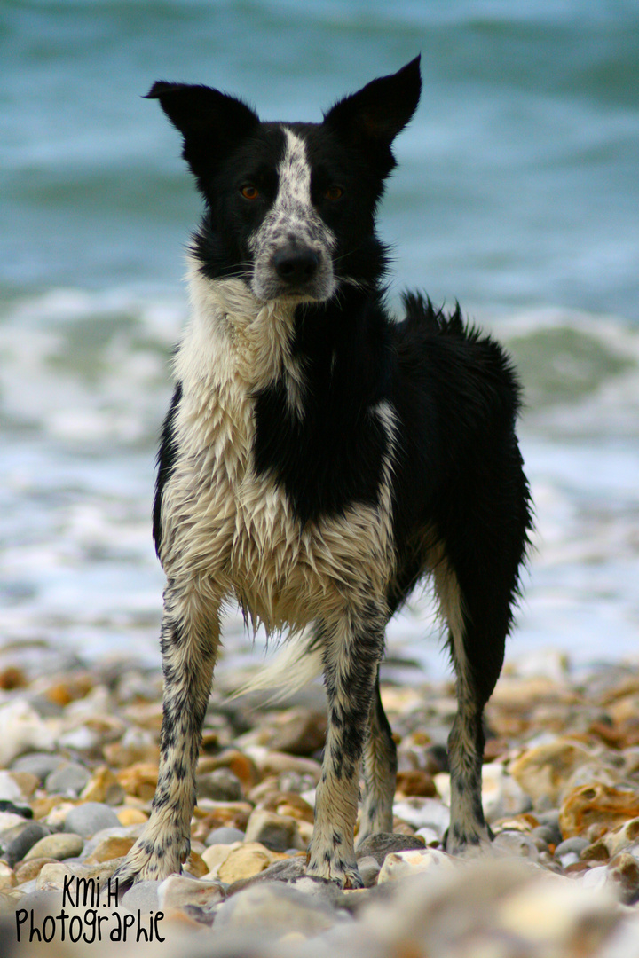 Un Ben à la plage