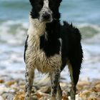 Un Ben à la plage