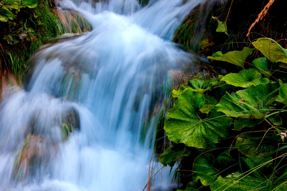 Un bene della natura, non buttiamolo !