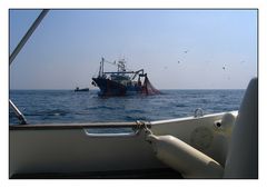 " Un bolincheur en pêche au large de Concarneau / le War Raog IV "