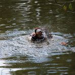 Un bon bain