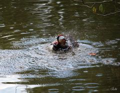 Un bon bain