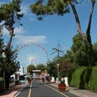 un bonjour de Ronce les bains