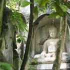 un Bouddha dans la nature