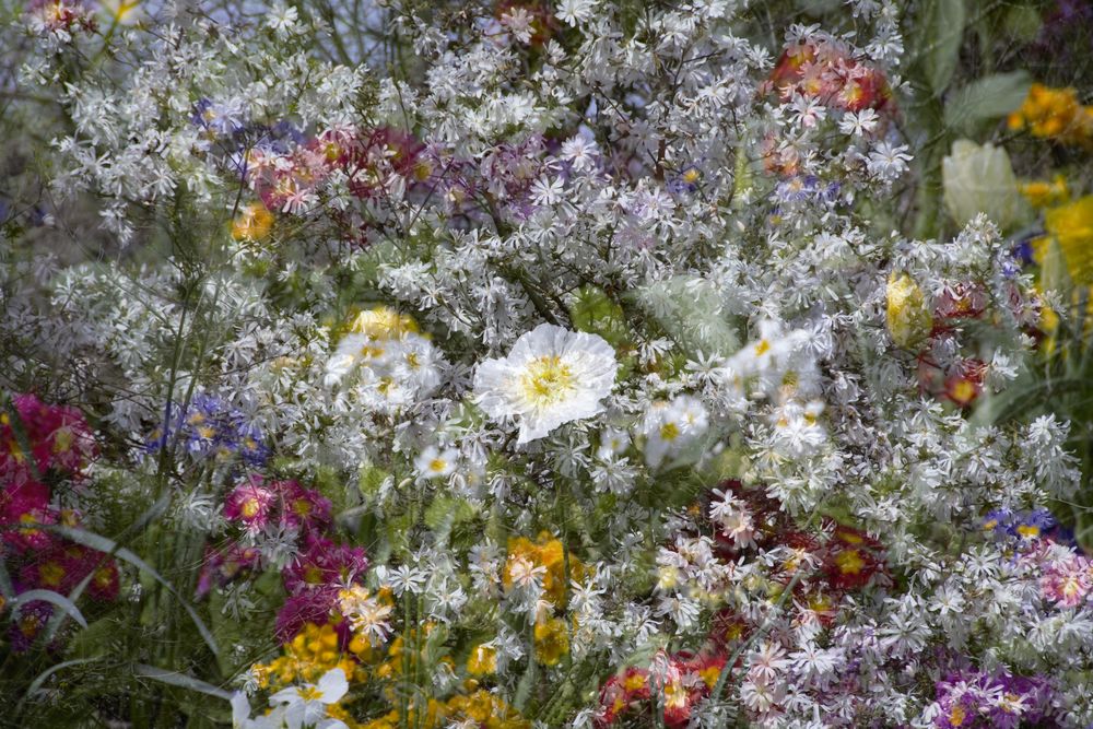 Un bouquet pour dire au revoir à l'été