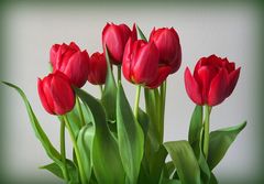 Un bouquet rouge pour ce lundi